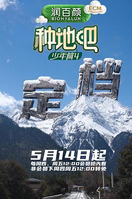 雾中回声